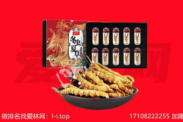 沈阳皇姑区回收虫草.jpg